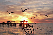Sunset Seagulls And Piers Photograph by Kathy K McClellan