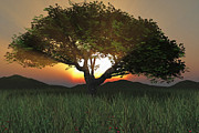Sunset Tree 2020 Digital Art by Brandi Untz Sunset Tree 2020 Digital Art by Brandi Untz