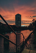 Sunset Wild Photograph by Nisah Cheatham