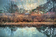 Surreal Dreamscape Photograph by Cate Franklyn
