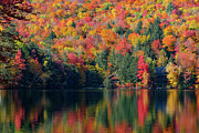 Surrounded by the Fall Colors Photograph by Jeff Folger