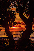 Surrounding Sunset Photograph by John Bauer Surrounding Sunset Photograph by John Bauer