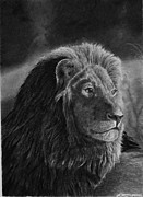Survey Drawing by Greg Fox