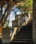 Sutro Home stairs Photograph by Donald Kinney