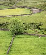 Swaledale, England, UK Photograph by Sarah Howard