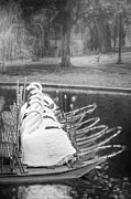 Swan Boats of Boston Public Garden Black and White  Photograph by Carol Japp