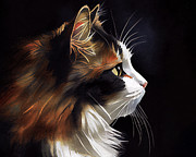 Sweet Calico Cat In Profile Digital Art by Mark Tisdale