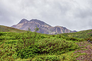 Swirled Beauty In Denali Photograph by Jennifer White