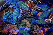 Swirling Tree Photograph by Karen Smale
