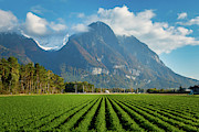 Swiss Mountains and Farmland Photograph by Rick Deacon Swiss Mountains and Farmland Photograph by Rick Deacon
