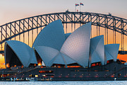 Sydney Special Photograph by Francesco Riccardo Iacomino