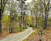 Take Me Home Photograph by Lee Darnell