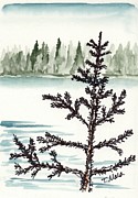 Tamarack Portrait Painting by Tammy Nara Tamarack Portrait Painting by Tammy Nara