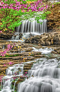 Tanyard Creek Falls In Spring Bloom - Ozark Mountains - Arkansas Photograph by Gregory Ballos Tanyard Creek Falls In Spring Bloom - Ozark Mountains - Arkansas Photograph by Gregory Ballos