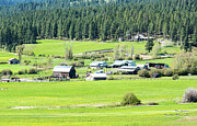 Teanaway Ranches Photograph by Tom Cochran
