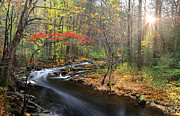 Tellico Awakening Photograph by Rick Lipscomb