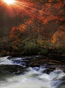 Tellico Sunrise Photograph by Rick Lipscomb