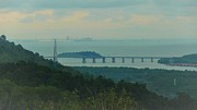 Temburong Bridge Photograph by Robert Bociaga