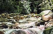 Tennessee Creek Painting by Jeanette Ferguson