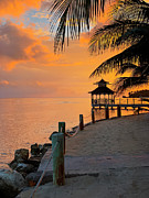 Tequila Sunrise Photograph by Jill Love