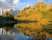 Teton Gold Grand Teton National Park Photograph by Dave Diegelman Teton Gold Grand Teton National Park Photograph by Dave Diegelman