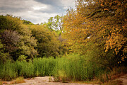 Texas Fall Photography - Barton Creek Trail Autumn Colors Photograph by Brigitte Blanchette Thompson Texas Fall Photography - Barton Creek Trail Autumn Colors Photograph by Brigitte Blanchette Thompson