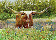 Texas Longhorn Painting by Hailey E Herrera