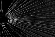 Texture of a palm tree leaf in black and white Photograph by Sergi Escribano