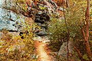 Textures of Autumn in Texas Photograph by Brigitte Blanchette Thompson Textures of Autumn in Texas Photograph by Brigitte Blanchette Thompson