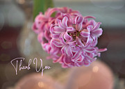 Thank You Photograph by Amy Dundon