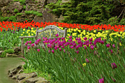 That Spring Day Photograph by Marilyn Cornwell That Spring Day Photograph by Marilyn Cornwell