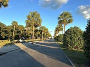 The Battery Charleston Photograph by Catherine Wilson
