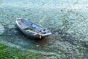 The Boat at the dry lake Photograph by Dubi Roman