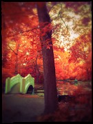 The Bridge in the Woods of Wickham Park Photograph by Linda Ouellette