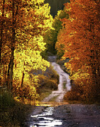 The Bright Gate Photograph by Jim Garrison