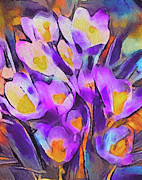The Colors of Crocus Digital Art by Susan Maxwell Schmidt