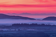 The Devil's Glen, Wicklow and Welsh Mountains Photograph by Adrian Hendroff