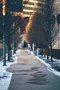 The Empty Path Photograph by Nisah Cheatham