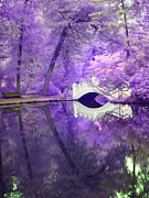 The Enchanted Forest - New England Infrared Photography Photograph by Linda Ouellette