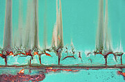 The Flame Trees of Thika Photograph by Marilyn Cornwell