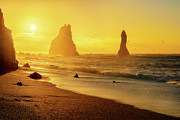 The Golden Morning Photograph by Henry w Liu