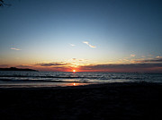 The Gull in the Moments Before Photograph by Joe Schofield
