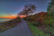 The Heart of Ogunquit Photograph by Penny Polakoff The Heart of Ogunquit Photograph by Penny Polakoff