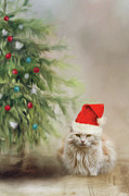 The Holiday Spirit Photograph by Jai Johnson