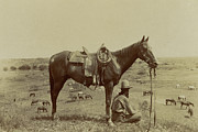 The Horse Wrangler Photograph by Vintage Texas