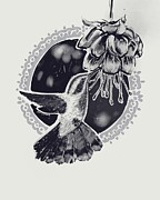 The hummingbird and the flower Drawing by Earth and Sky Illustration and Design