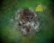 The Hunter - Mixed Media Mixed Media by Colleen Cornelius