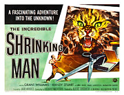 The Incredible Shrinking Man - 1957 Sci-Fi Horror Digital Art by Retro Movie Poster - UPSCALED