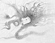 The Kite Drawing by Franci Hepburn The Kite Drawing by Franci Hepburn