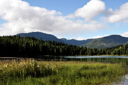 The Lake In The Meadow Digital Art by Kirt Tisdale The Lake In The Meadow Digital Art by Kirt Tisdale
